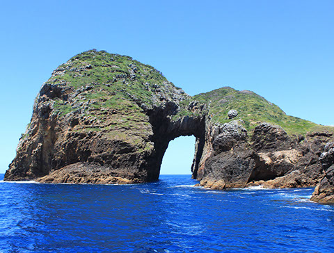 Maunga Iti - Wellness Retreat Tutukaka New Zealand Diving and Snorkelling on the Tututkaka Coast