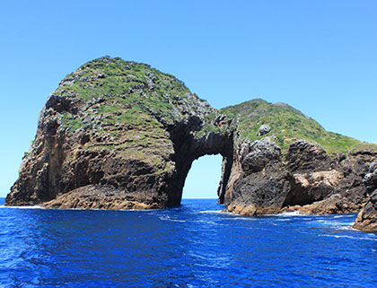 Maunga Iti - Wellness Retreat Tutukaka New Zealand Diving and Snorkelling on the Tututkaka Coast