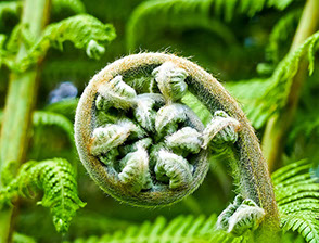 Maunga Iti - Wellness Retreat Tutukaka New Zealand Walking and Hiking on the Tututkaka Coast